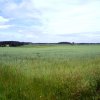 Tour 6: Naturpark Usedom